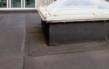 disadvantages of Tresean flat roofs