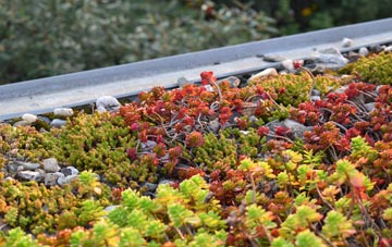 the cost of Tresean green roof installation