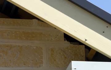 soffit repair Tresean